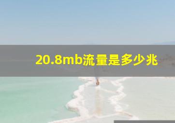 20.8mb流量是多少兆