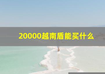 20000越南盾能买什么