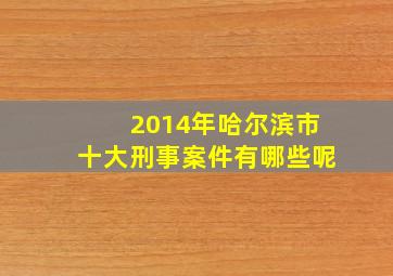 2014年哈尔滨市十大刑事案件有哪些呢