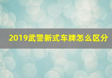 2019武警新式车牌怎么区分