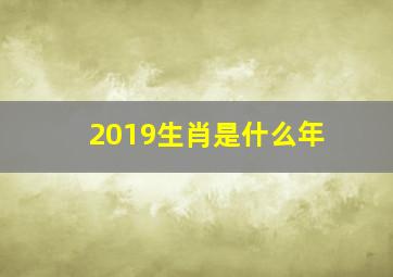 2019生肖是什么年