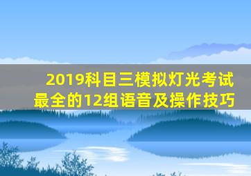 2019科目三模拟灯光考试最全的12组语音及操作技巧