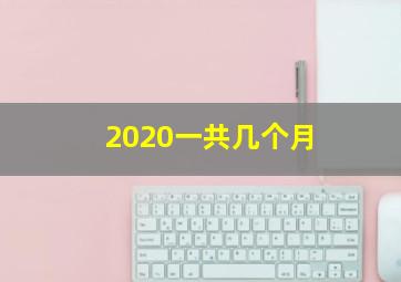 2020一共几个月