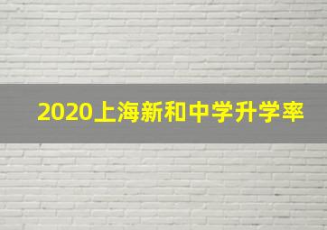 2020上海新和中学升学率