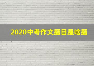 2020中考作文题目是啥题