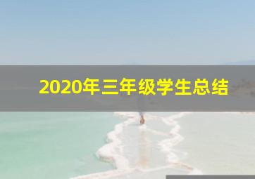 2020年三年级学生总结