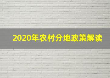 2020年农村分地政策解读