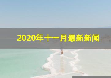 2020年十一月最新新闻