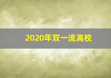 2020年双一流高校