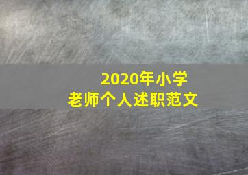 2020年小学老师个人述职范文