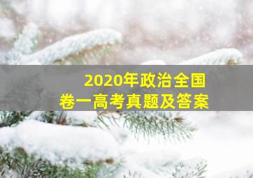 2020年政治全国卷一高考真题及答案