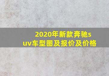 2020年新款奔驰suv车型图及报价及价格