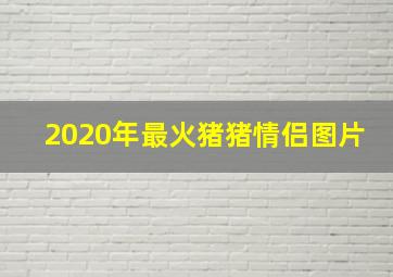 2020年最火猪猪情侣图片