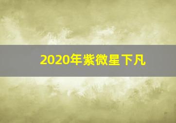 2020年紫微星下凡