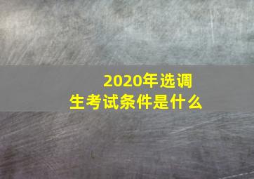 2020年选调生考试条件是什么