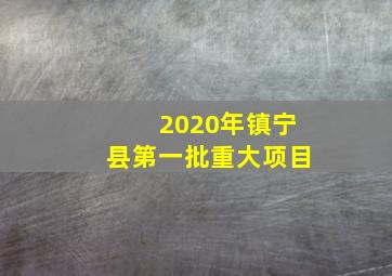 2020年镇宁县第一批重大项目