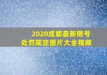 2020成都最新限号处罚规定图片大全视频