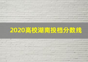 2020高校湖南投档分数线