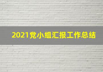 2021党小组汇报工作总结