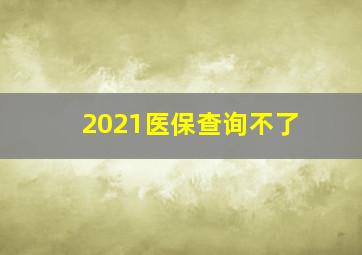 2021医保查询不了