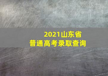 2021山东省普通高考录取查询