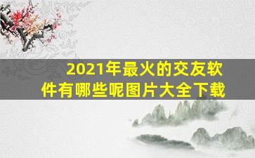 2021年最火的交友软件有哪些呢图片大全下载