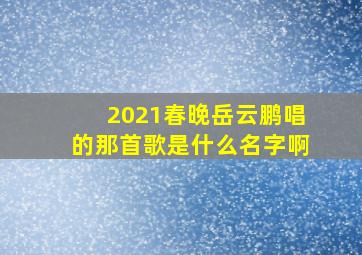 2021春晚岳云鹏唱的那首歌是什么名字啊