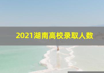 2021湖南高校录取人数