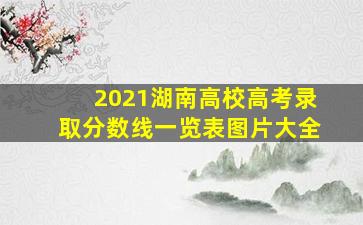 2021湖南高校高考录取分数线一览表图片大全