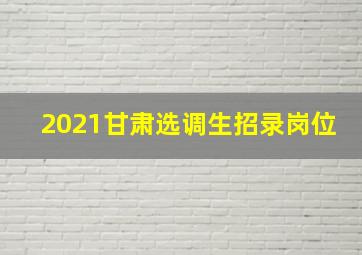 2021甘肃选调生招录岗位