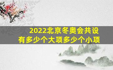 2022北京冬奥会共设有多少个大项多少个小项