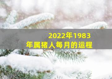 2022年1983年属猪人每月的运程