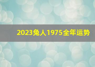 2023兔人1975全年运势