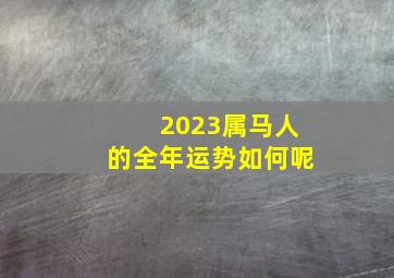 2023属马人的全年运势如何呢