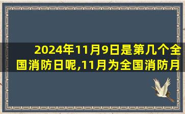 2024年11月9日是第几个全国消防日呢,11月为全国消防月