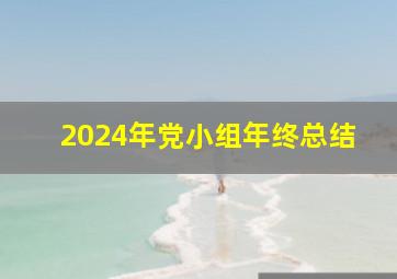 2024年党小组年终总结