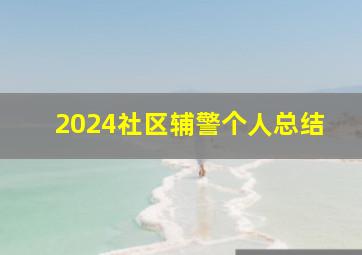 2024社区辅警个人总结