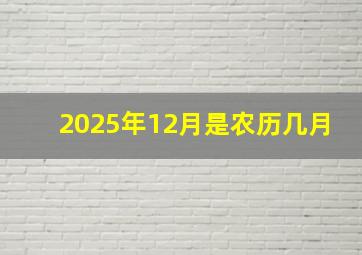 2025年12月是农历几月