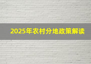 2025年农村分地政策解读