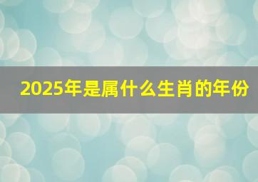 2025年是属什么生肖的年份