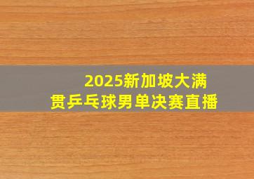 2025新加坡大满贯乒乓球男单决赛直播