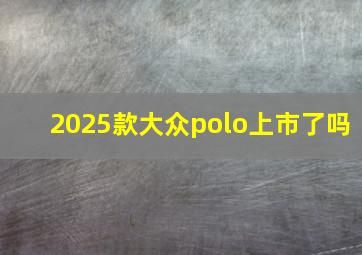 2025款大众polo上市了吗