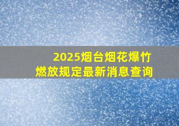 2025烟台烟花爆竹燃放规定最新消息查询