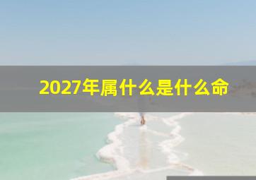 2027年属什么是什么命