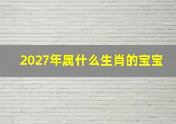 2027年属什么生肖的宝宝