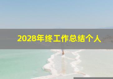 2028年终工作总结个人