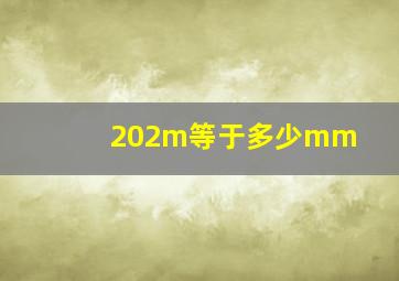 202m等于多少mm