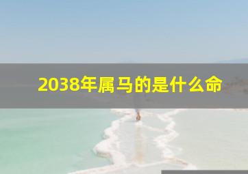 2038年属马的是什么命