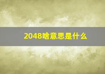 2048啥意思是什么