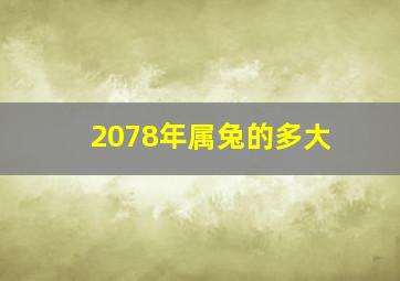 2078年属兔的多大